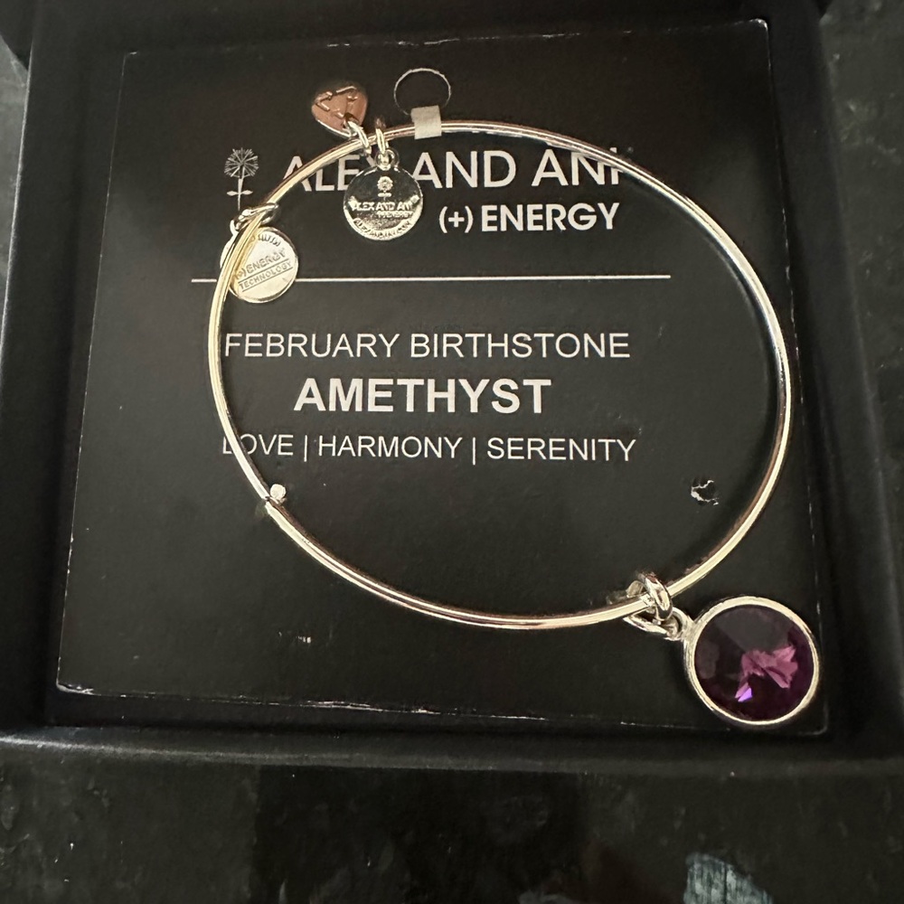Alex and Ani Silver Bangle with Amethyst Purple Charm